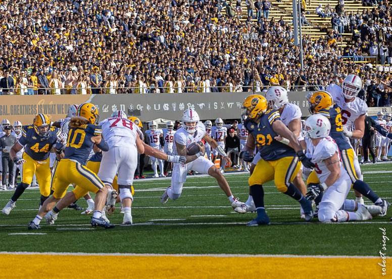 stanford football 2024